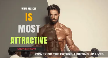 Which Muscles Make You Most Attractive?