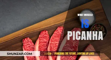Picanha Muscle: Know Your Steak Better