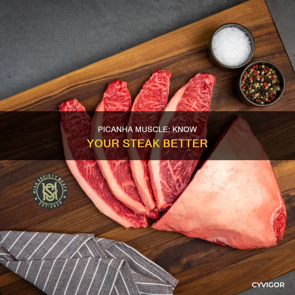 Picanha Muscle Know Your Steak Better CyVigor picanha-muscle-know-your-steak-better-cyvigor