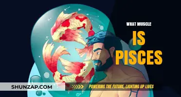 Pisces: The Muscle Behind the Mystique