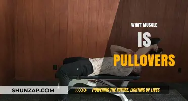 The Ultimate Guide to Pullovers: Targeting Your Back and Chest Muscles