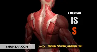 How to Strengthen Your 'S' Muscle
