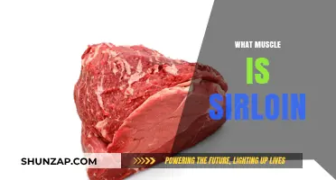 Understanding the Sirloin Muscle: Its Location and Uses
