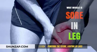 Understanding Leg Soreness: Identifying the Affected Muscles and Causes