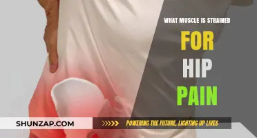 Understanding Hip Pain: Identifying Strained Muscles and Effective Relief Strategies