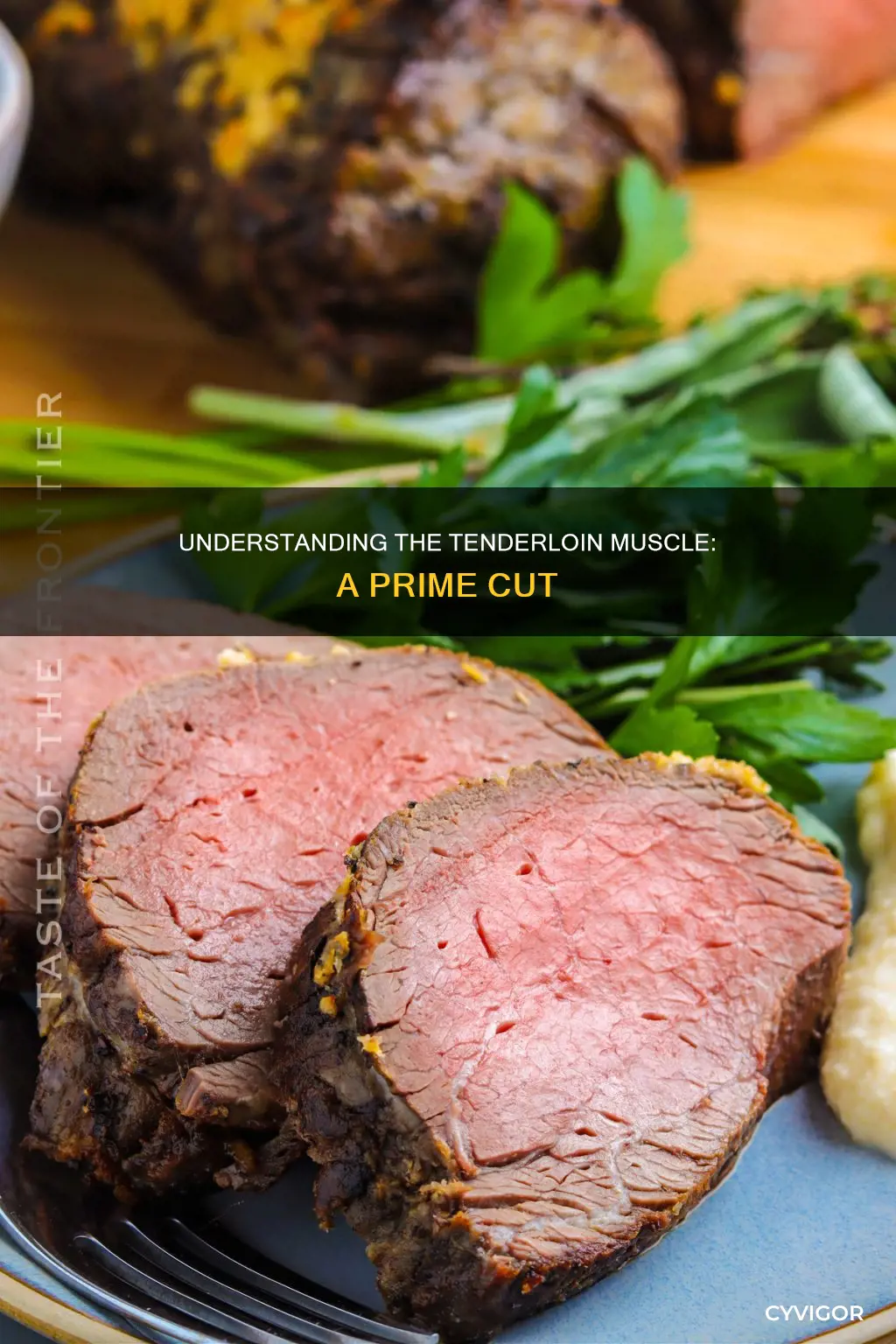 what muscle is the ternderloin