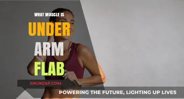 Understanding Arm Flab: The Muscle Beneath and How to Tone It
