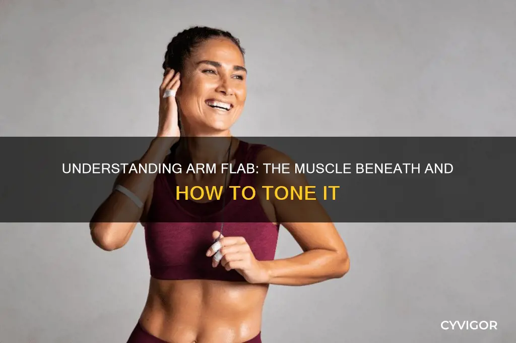 what muscle is under arm flab