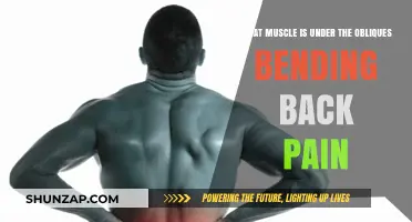 Uncovering the Hidden Muscle Beneath Obliques to Relieve Back Pain