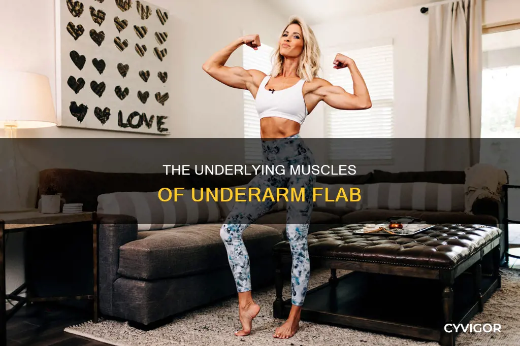 what muscle is underarm flab