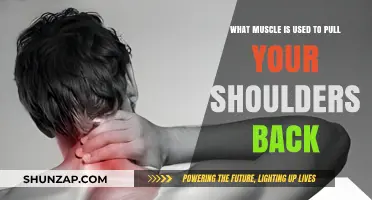 How to Pull Shoulders Back: Key Muscles and Posture Tips