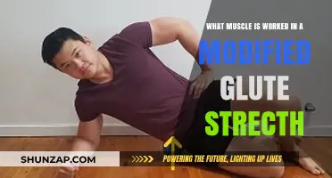 Modified Glute Stretch: Target Muscles and Benefits Explained