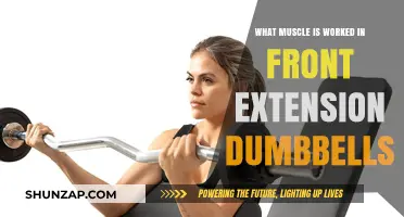 Front Extension Dumbbells: Targeting Forearms, Wrists, and Grip Strength