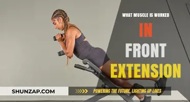 Front Extension Muscles: Targeted Workout Guide for Strength and Flexibility