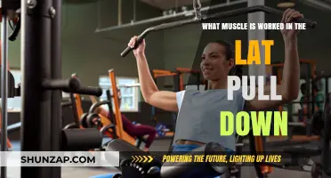 Lat Pull Down: Targeting Your Back Muscles for Strength and Definition