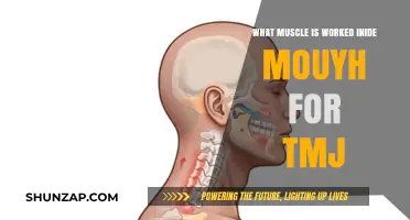 TMJ Relief: Targeting the Muscles Inside Your Mouth for Jaw Health