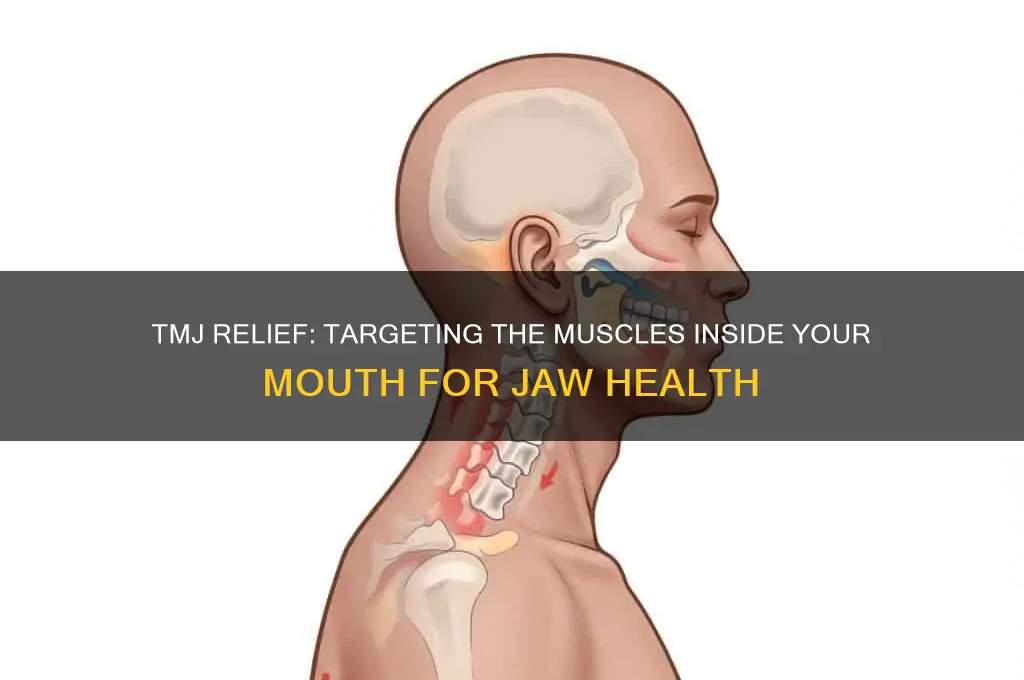 what muscle is worked inide mouyh for tmj