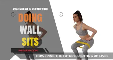 Wall Sits: Targeting Quadriceps, Glutes, and Core Muscles Effectively