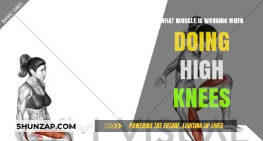 High Knees Workout: Key Muscles Engaged and Benefits Explained