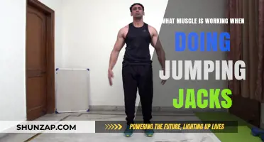Jumping Jacks Workout: Key Muscles Engaged in This Full-Body Exercise