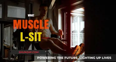 L-Sit: The Ultimate Core Exercise for Strong Abs