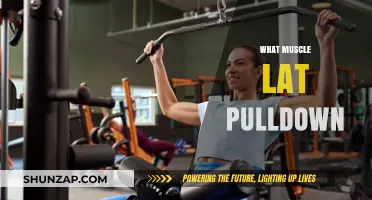 Lat Pulldown: Targeting Back Muscles for Strength and Definition
