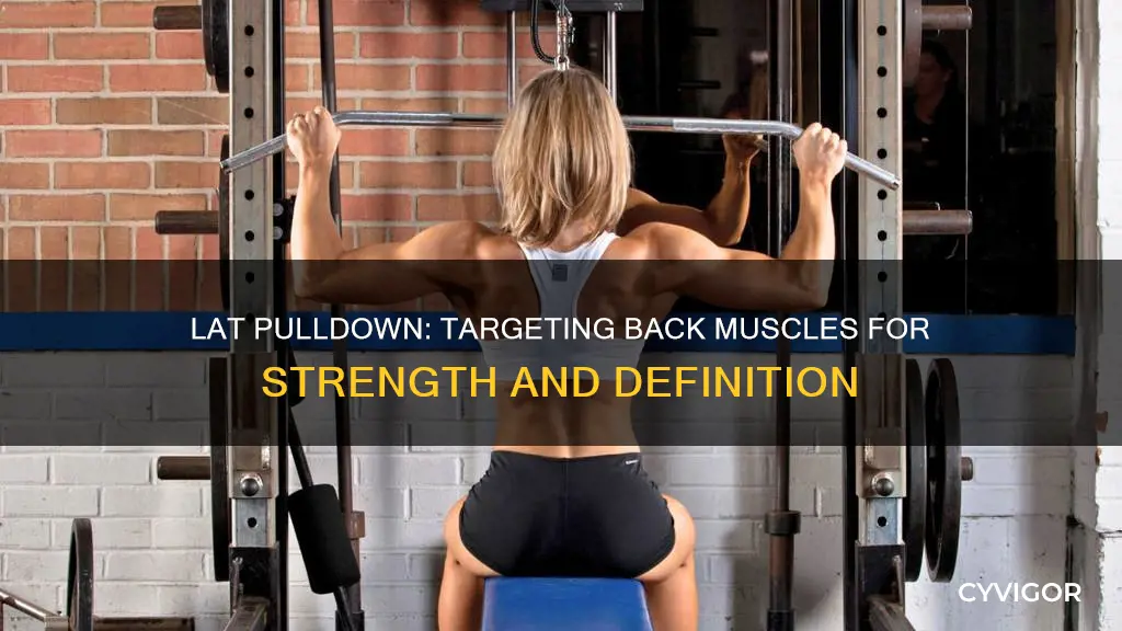 what muscle lat pulldown