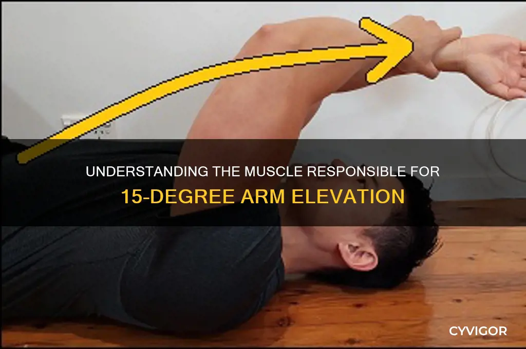 what muscle lifts your arm 15 degrees