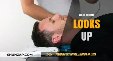 How to Strengthen Your Neck Muscles