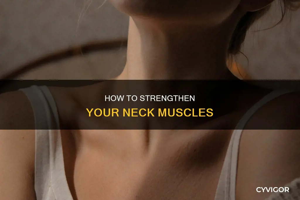 what muscle looks up