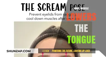 Tongue Muscle Movement: What You Need to Know