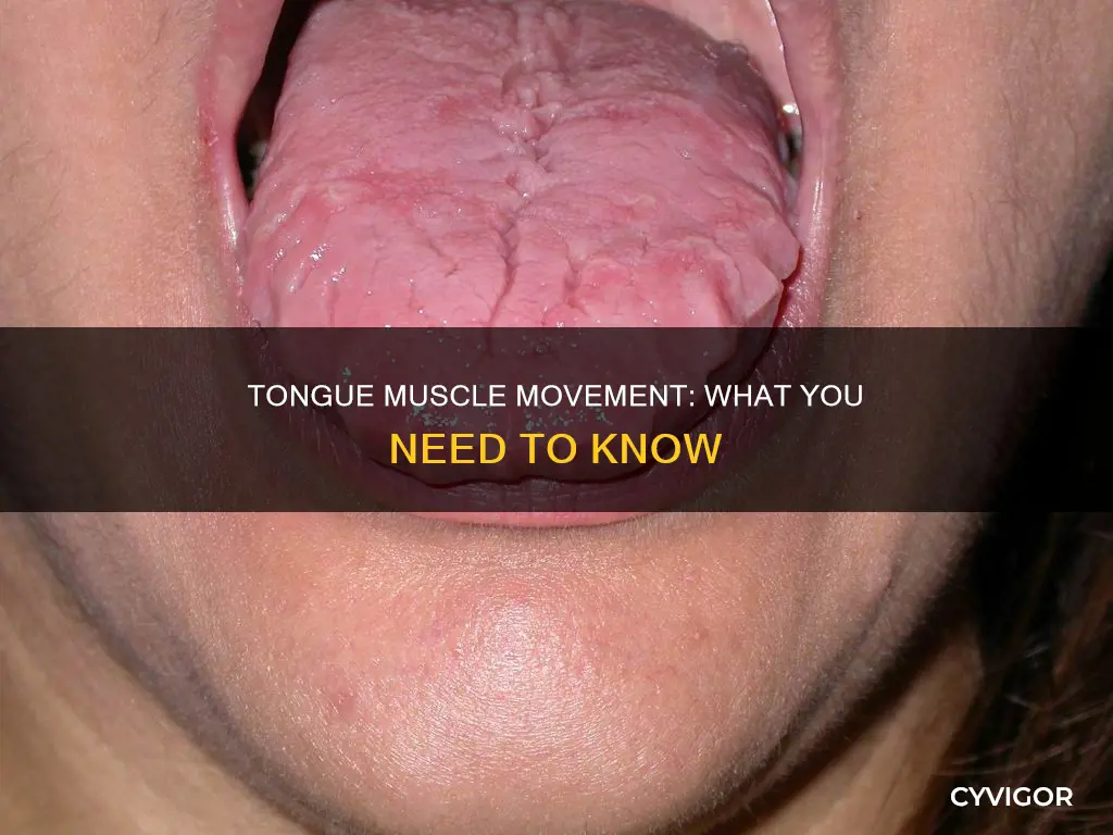 what muscle lowers the tongue