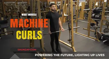 Mastering Muscle-Building: Machine Curls