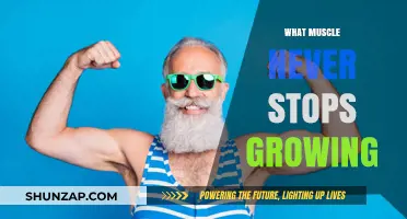 The Surprising Truth About the Muscle That Never Stops Growing