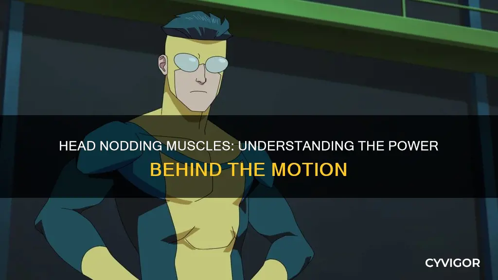 what muscle nods the head