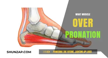 Pronation and its Impact on Muscle Development