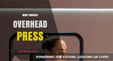 Overhead Press: Which Muscles Does This Exercise Target?
