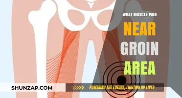 Understanding Groin Area Muscle Pain: Causes, Symptoms, and Relief Tips