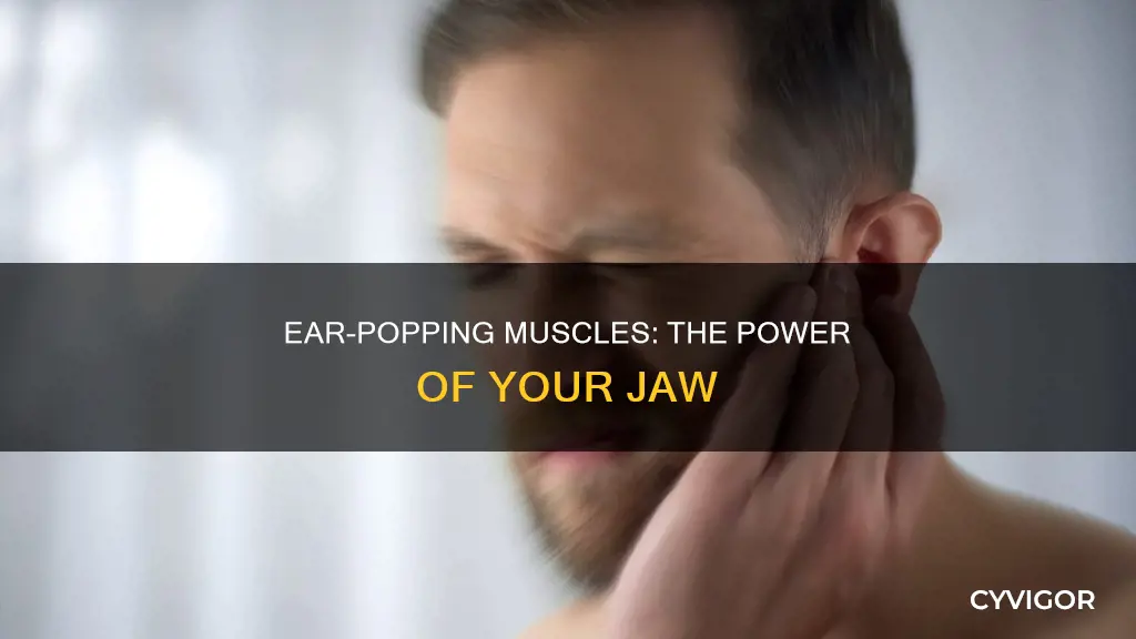 what muscle pops the ears