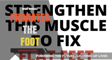 How Your Foot Pronates: The Muscles Involved