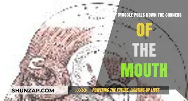 Muscles Controlling Mouth Corners: The Role of Depressor Anguli Oris