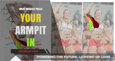 Understanding the Muscle That Pulls Your Armpit In: A Guide