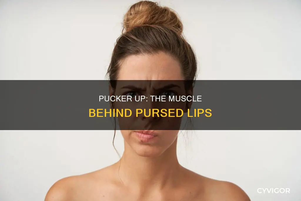 what muscle pursed lips