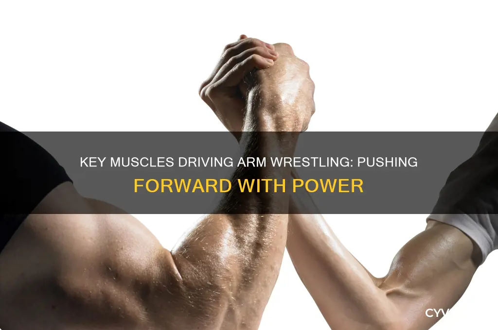 what muscle pushes the arm forward in arm wrestling