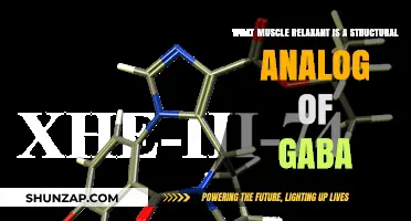 Unveiling the GABA-Like Muscle Relaxant: A Structural Analog Explained