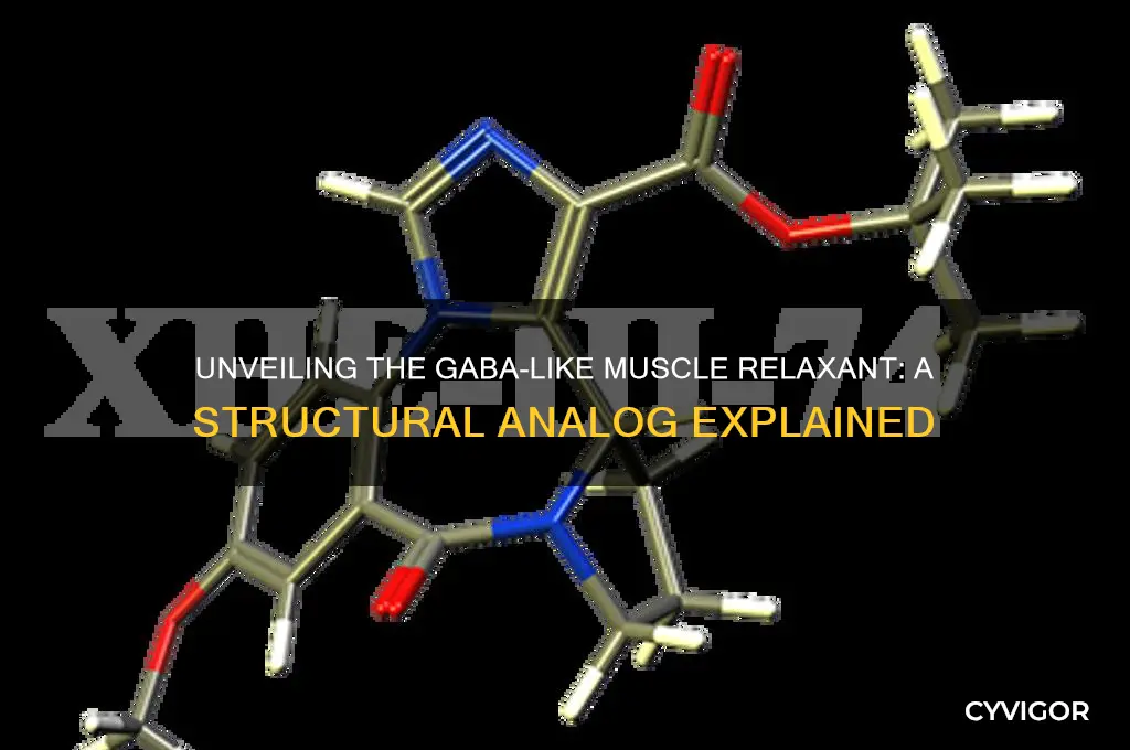 what muscle relaxant is a structural analog of gaba