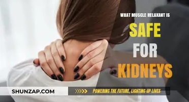 Kidney-Safe Muscle Relaxants: Best Options for Renal Health