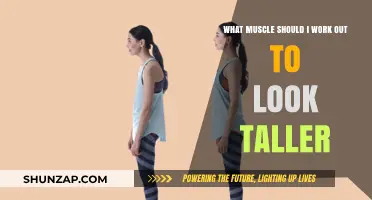 Enhance Your Height: Key Muscles to Work Out for a Taller Look