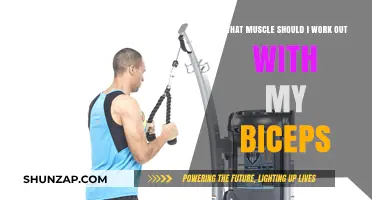 Maximize Arm Gains: Best Muscle Pairings for Bicep Workouts