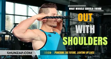 Shoulder Workout Essentials: Target Muscles for Strength and Stability